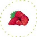 Poziomki